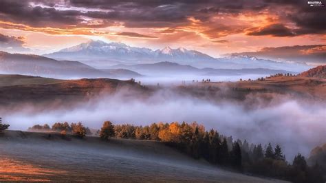 clouds, Sunrise, woods, Fog, Carpathian Mountains - Beautiful views wallpapers: 2500x1406