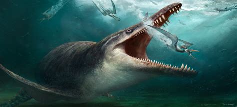 1 best u/palcatraz images on Pholder | Named for the Greek titan Cronus, Kronosaurus was among ...