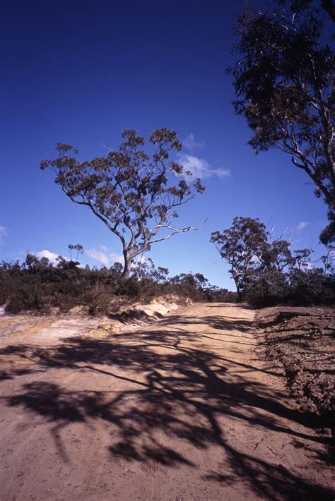 Free Stock photo of Isolated Dirt Road Through Australian Bush | Photoeverywhere