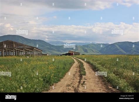 The nature in Kazakhstan, steppe Stock Photo - Alamy