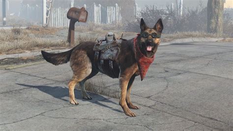 Top 10 Best Video Game Dogs of All Time | Fandom