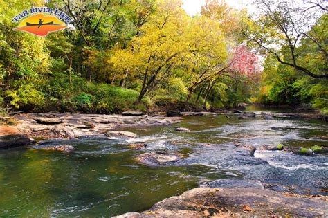 Tar River Life - Hipcamp in , North Carolina