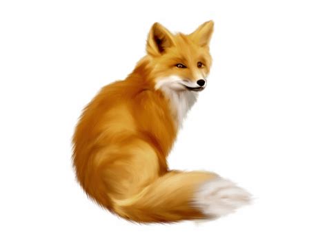 Free Red Fox Png, Download Free Red Fox Png png images, Free ClipArts on Clipart Library