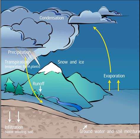 The Water Cycle | Center for Science Education