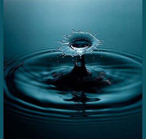 Water Drop Photography - Photography