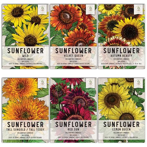 Buy Seed Needs, Crazy Sunflower Seed Packet Variety Collection (6 ...