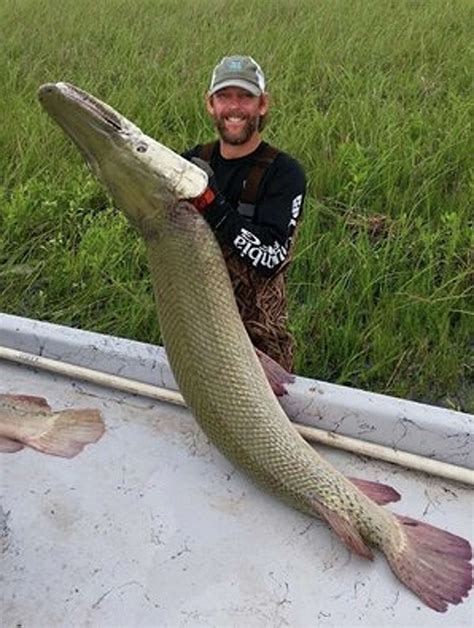 Crazy wildlife photos from around Texas and the U.S.