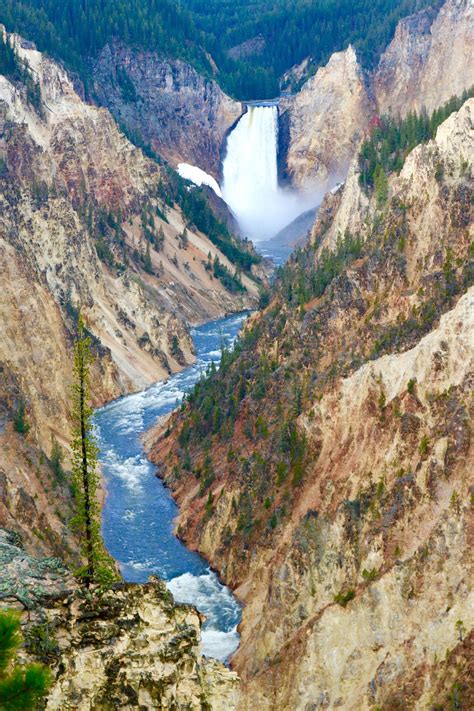 Nature at its best @ Artist Point Yellowstone National Park | National ...