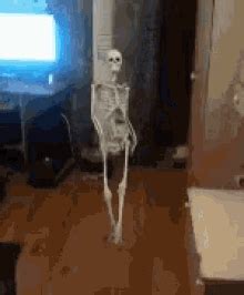 Skeleton Dance GIF - Skeleton Dance Dancing GIFs | Funny gif, Funny pictures, Funny cute