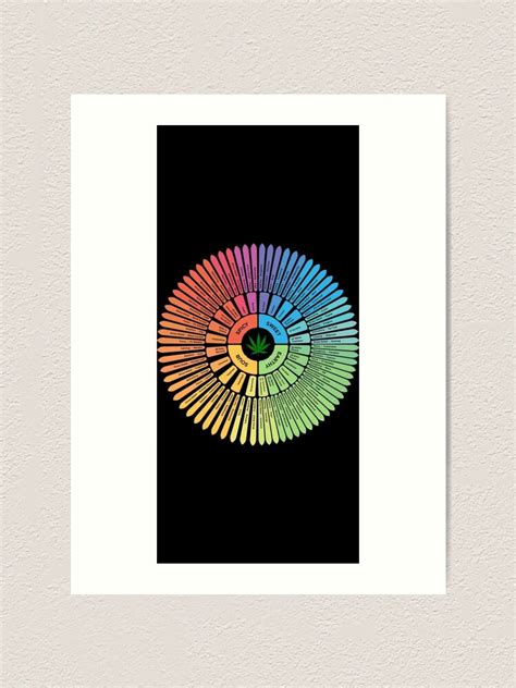 "Cannabis Terpene flavor wheel" Art Print for Sale by arcadianjones | Redbubble