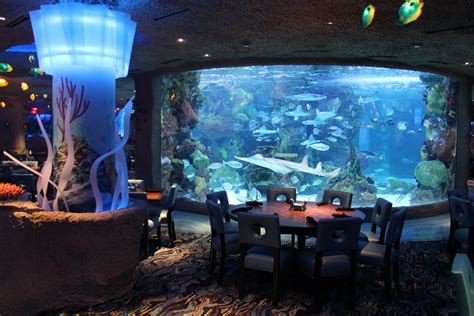 Tennessee: Aquarium Restaurant - mediafeed