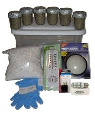 Mushroom Growing Kits | Midwest Organics