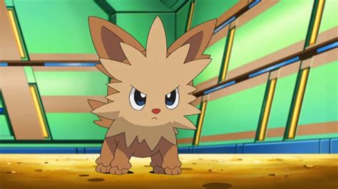 Is There a Shiny Lillipup in Pokémon GO?