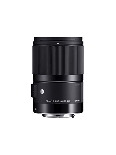 10 Best Macro Lenses for Canon in 2023