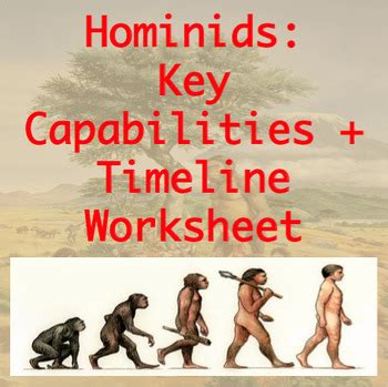 Hominid Timeline Chart plus Answer Key by TeachingAncient | TpT