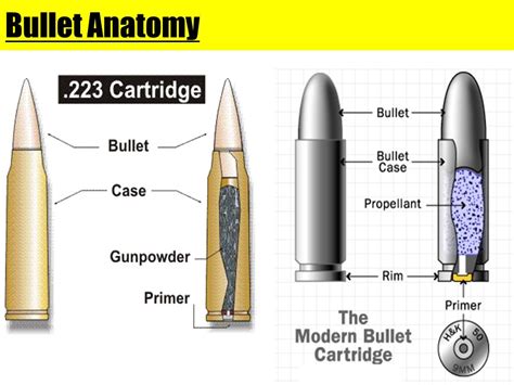 Anatomy Of A Bullet - slidesharetrick