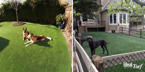 Dog Run Ideas: Definitive Guide To Backyard Dog Potty Areas