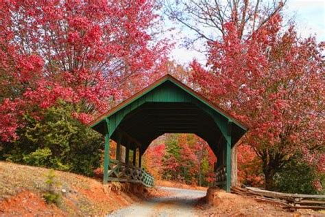 Fall in Blue Ridge | The Best Things to Do in Blue Ridge, Georgia ...