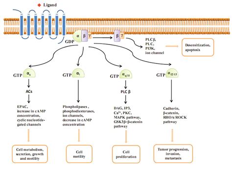 Dissection of Aberrant GPCR Signaling in Tumorigenesis – A Systems Biology Approach