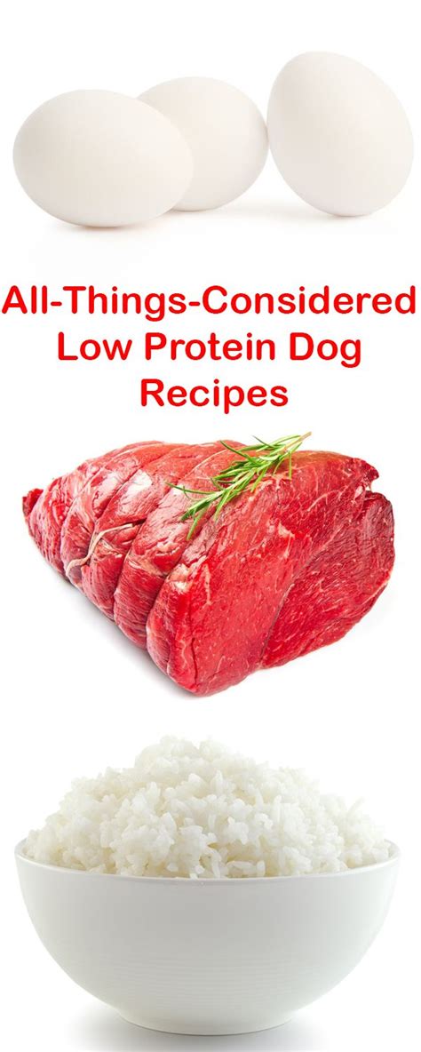 10 Low-Protein Dog Recipes [2019 Updated] - Easy and Tasty Formulas ...