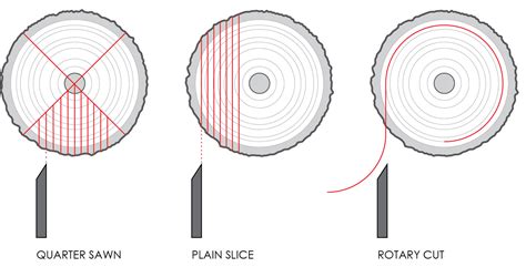 Veneering 101 | BUILD Blog