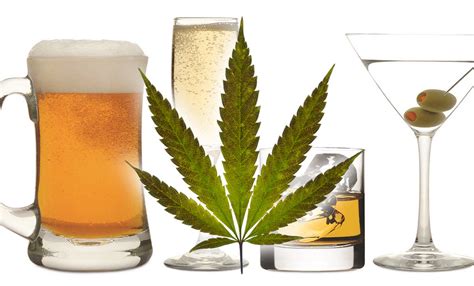 Marijuana may boost risky effects of drinking alcohol | Social Science Research Institute