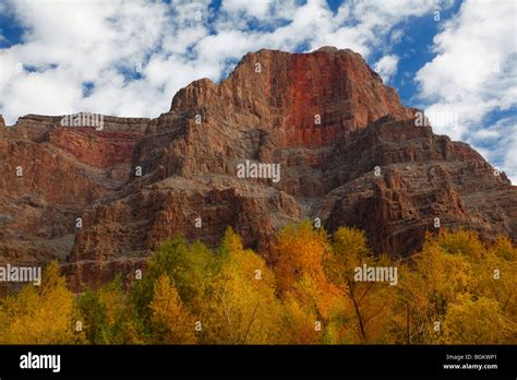 Lower Grand Canyon in autumn just above Lake Mead, Grand Canyon ...