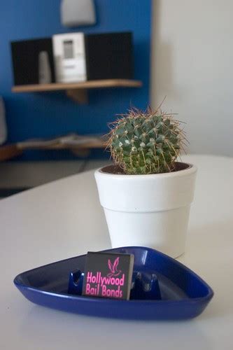 Coffee Table Decor | Lovely cactus, blue ashtray and matches… | Flickr