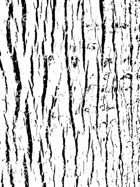 Tree Bark Vector at Vectorified.com | Collection of Tree Bark Vector ...