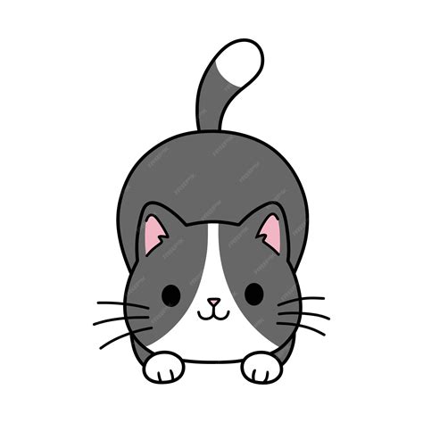 Premium Vector | Cute fat gray cat