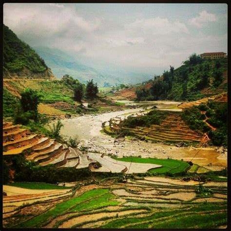 Rice paddies - Sapa, Vietnam