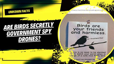 Are Birds Watching You? The Dark Secret of Government Spy Drones!