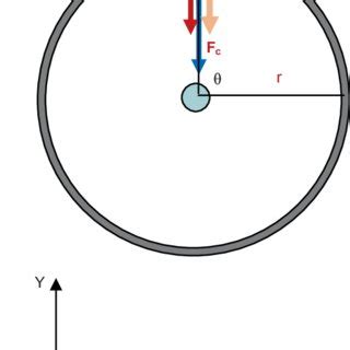 Free-body diagram of centripetal force (F c ) that derived from uniform... | Download Scientific ...