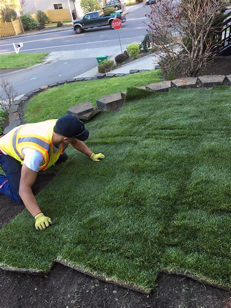 Sod Installation and New Lawn Installation, Portland, Oregon, Earthborn