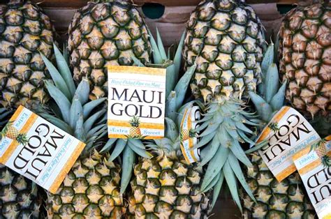 The Maui Gold Pineapple - Minneopa Orchards