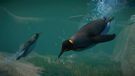 Planet Zoo: Aquatic Pack | wingamestore.com