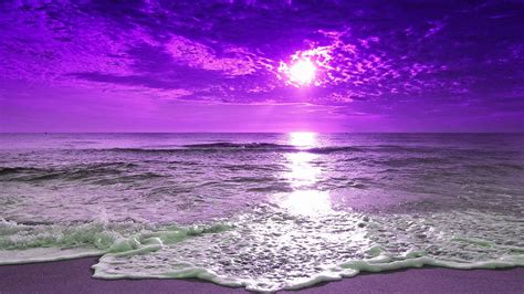 Beach During Purple Sunrise HD Purple Wallpapers | HD Wallpapers | ID #36973
