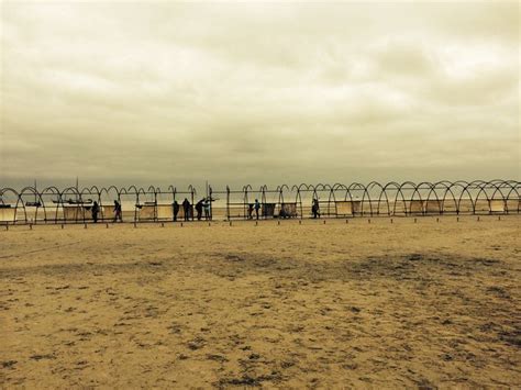 Oerol Festival, 't Groene Strand, Terschelling | Strand, Groen, Festival