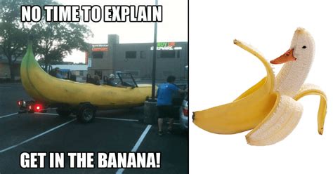 A Bunch of Banana Memes That Are Extremely Appealing - Memebase - Funny ...