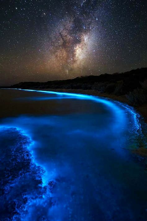 hellchildjavo: “Bioluminescent Bay by James Garlick ” | Nature, Nature photography, Beautiful nature