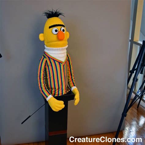 Our Bert puppet rendition ready for his closeup... | Puppets