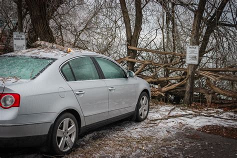 Ice Storm that Hit Toronto in 2013 - Explore the World with Simon Sulyma