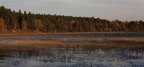 Lake Itasca - World Water Database