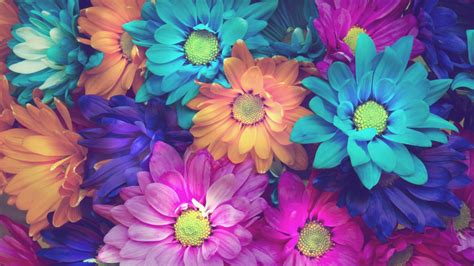 3840x2160 flowers 4k free download of hd wallpaper | Blue flower ...