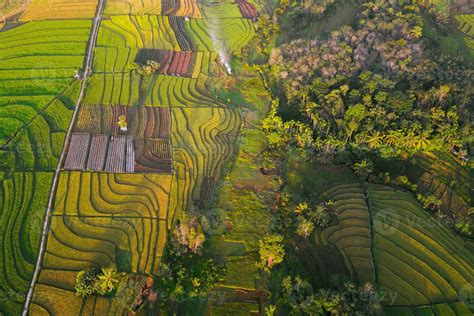 natural landscape of terraced rice terraces in Indonesia 24975360 Stock Photo at Vecteezy