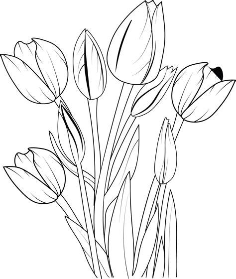 Easy sketch art of tulip flowers bouquet, floral line art hand drawn illustration, Eustoma ...