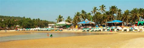 Baga Beach|Why Visit|Photos|Videos|Tips - HOHO Goa