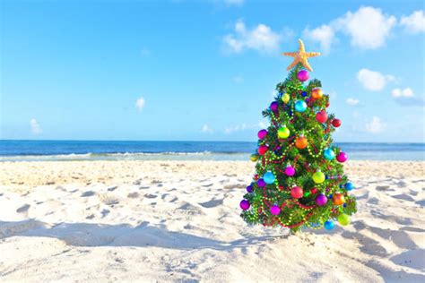 Royalty Free Christmas Tree On Beach Pictures, Images and Stock Photos ...