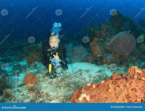 Diver - Smiling Girl Underwater Stock Image - Image of dive, nusa: 90252389