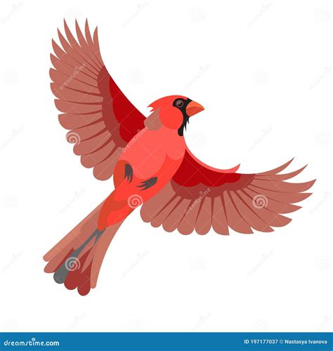 Flying Cardinal Bird Female Animation Sprite Sheet Vector Illustration | CartoonDealer.com ...